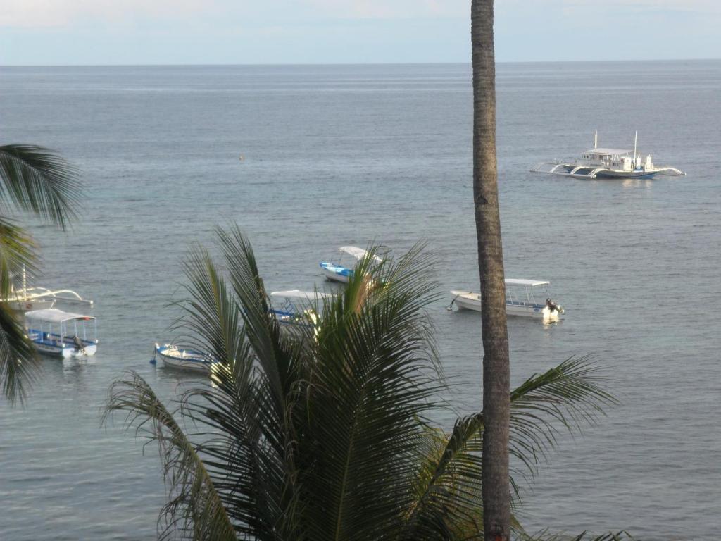 Hayahay Resort Panglao Extérieur photo